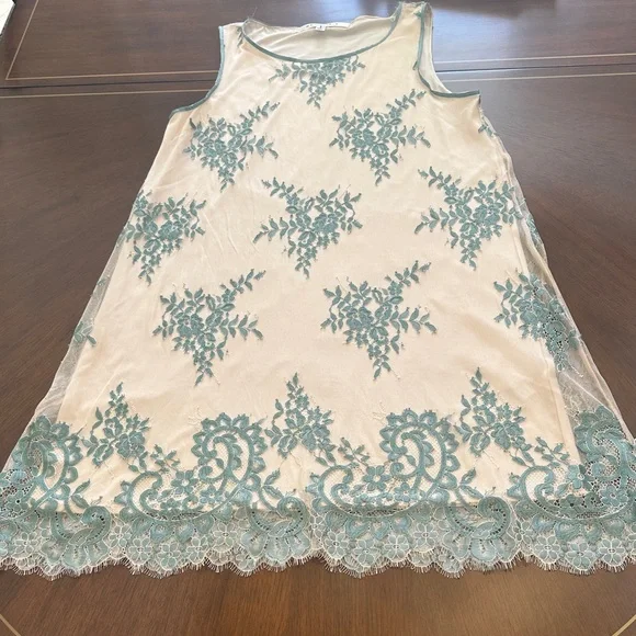 Max Studio Lace Embroidered A-Line Dress – Beige & Teal Floral Size S - Picture 10 of 14